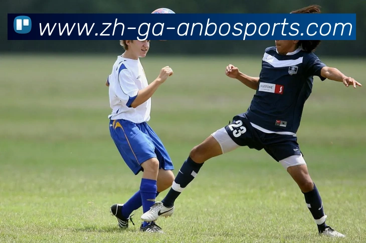 安博体育APP 封面图